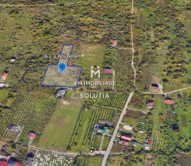 Teren agricol extravilan de 6330 mp, în Valea Borcutului