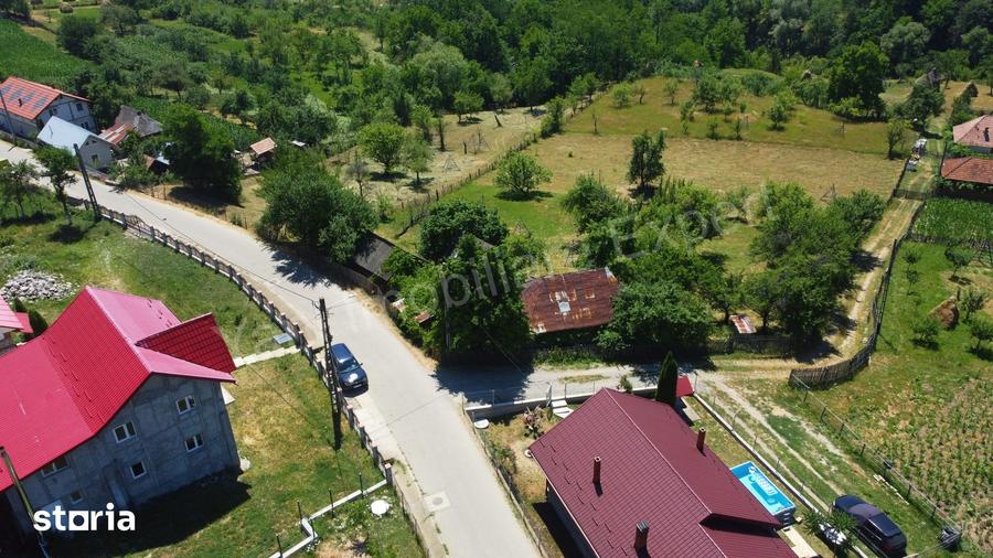 Teren de 6041 mp, în Cicănești