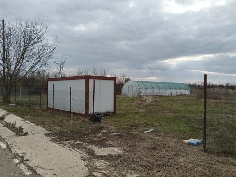 Teren de 2500 mp, în Romanu