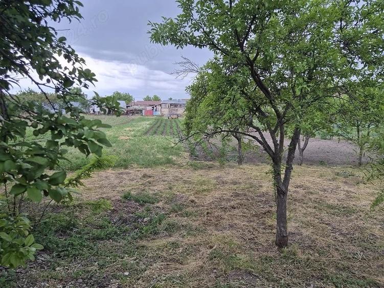 Casă cu 5 camere cu Teren 1870 Mp în Lenauheim