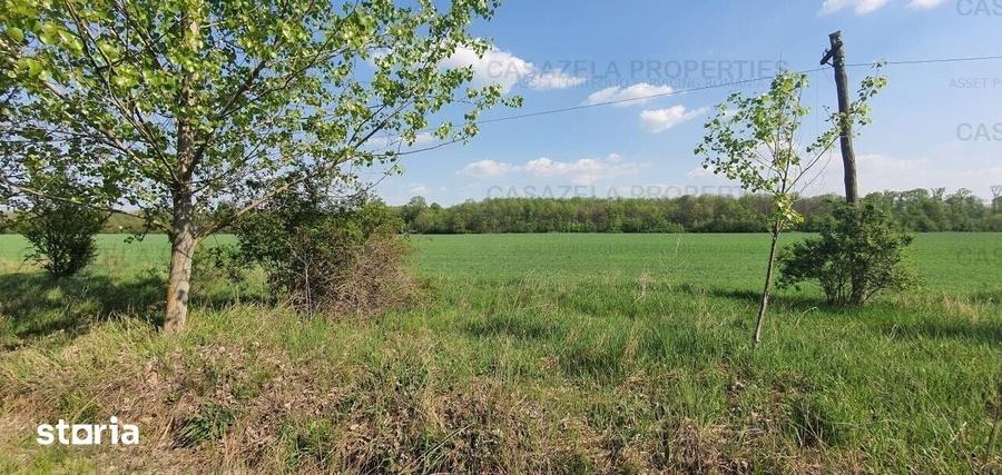 Teren de 33000 mp, în Răcari