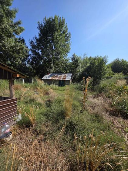 Casa la tara+teren intravilan 7.548 mp,utilitati complete,Baleasa, Olt - 6