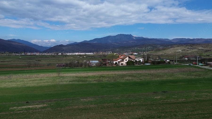 Teren de 6581 mp, în Jiblea Nouă