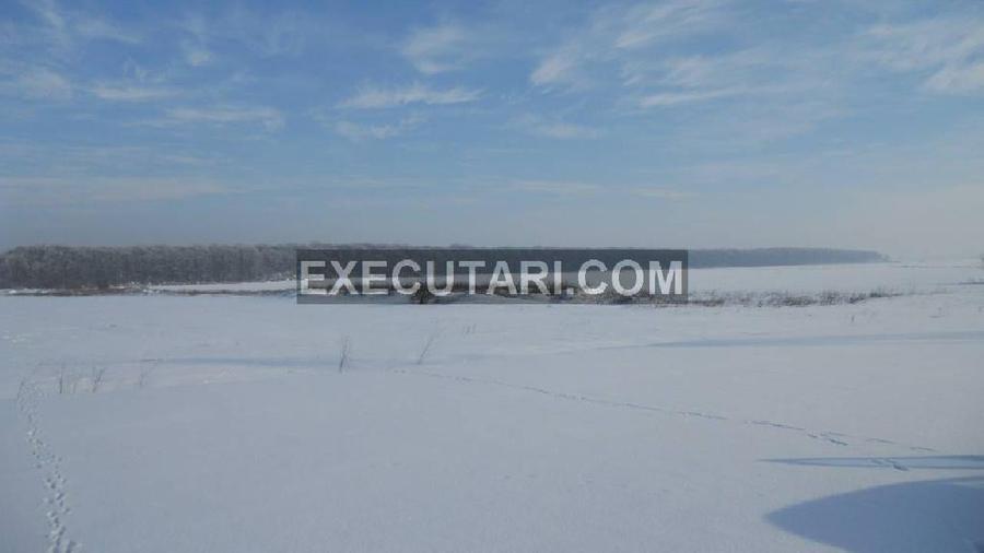 DASCALU VARASTI ILFOV Teren extravilan,arabil - 12,500 m² - 5