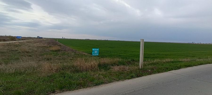 Teren agricol extravilan de 50000 mp, în Șag
