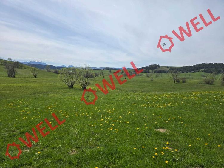 Teren agricol extravilan de 6519 mp, în Sărămaș