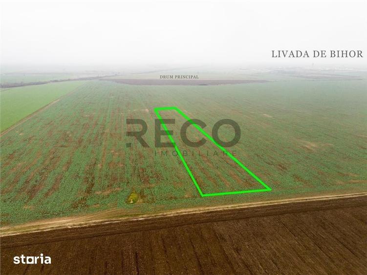 Teren de 5800 mp, în Nojorid