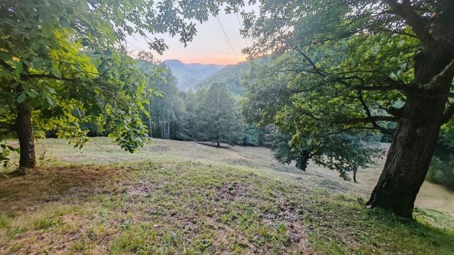 Teren de 7000 mp, în Grădiștea de Munte