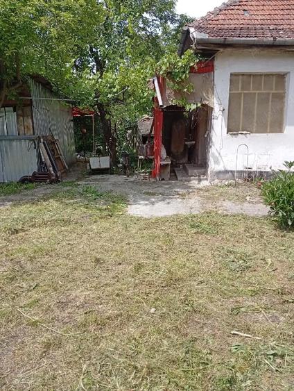 Casă cu Teren 5741 Mp în Lunca Mureșului