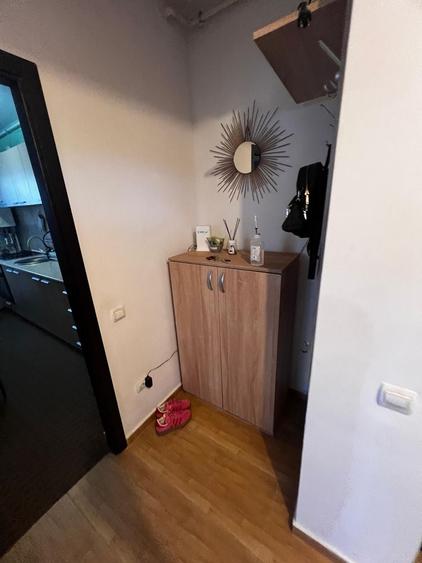 De inchiriat Apartament Drumul Belsugului Sector 6 - 4
