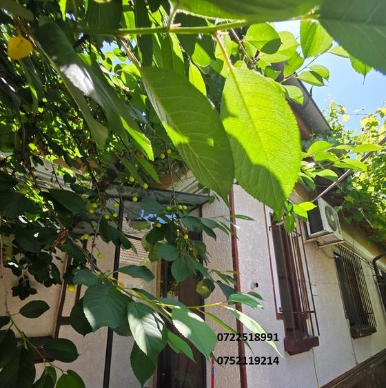 Iancului, Vatra Luminoasa inchiriere casa individuala - 12