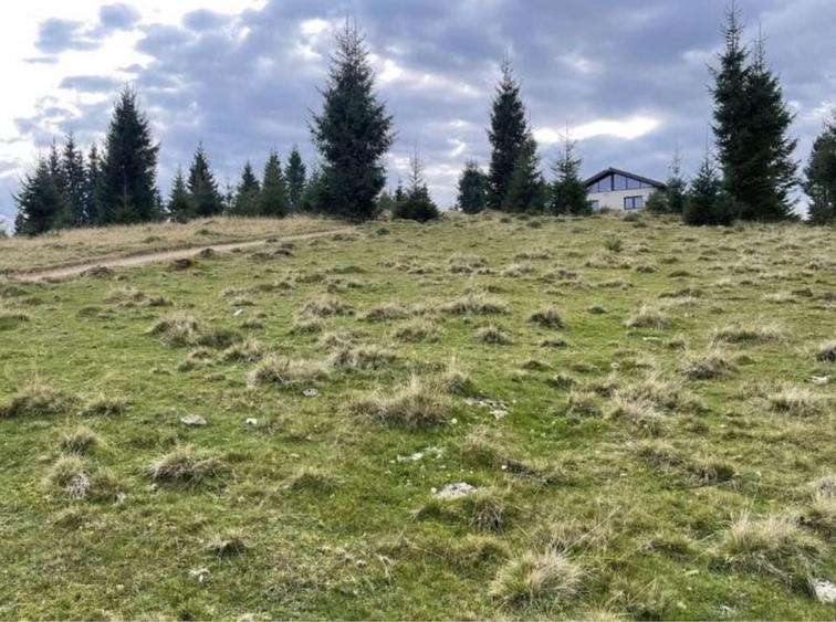 Teren de 2300 mp, în Beliș