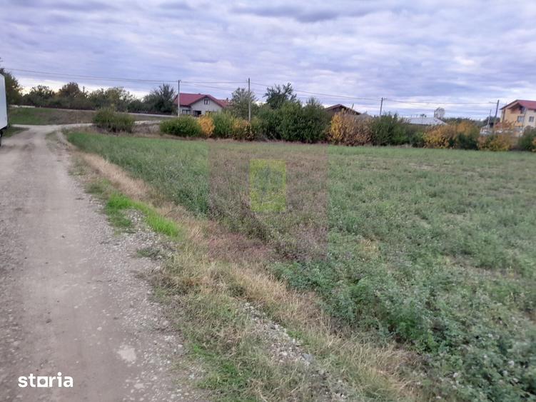 Teren de 2062 mp, în Manasia
