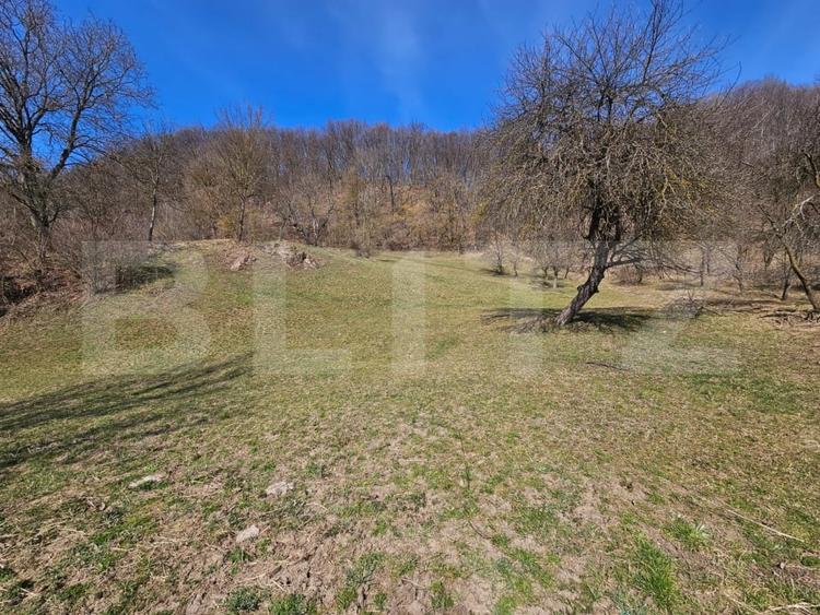 Casă individuală cu 3 camere cu Teren 6820 Mp în Almașu Mare