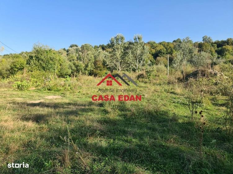 Teren intravilan in Cornu (Ph)--1490 mp--29e - 9