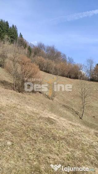 Teren de 5000 mp, în Rucăr