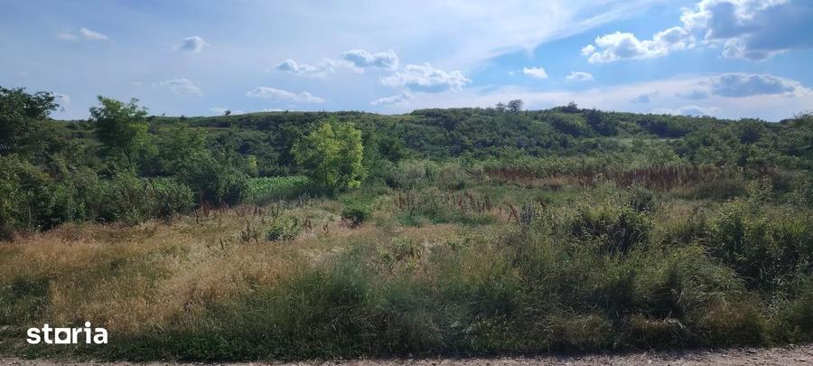 Teren intravilan de vanzare 5.000 mp, Com. Belce?ti (sat Rusi) - 4