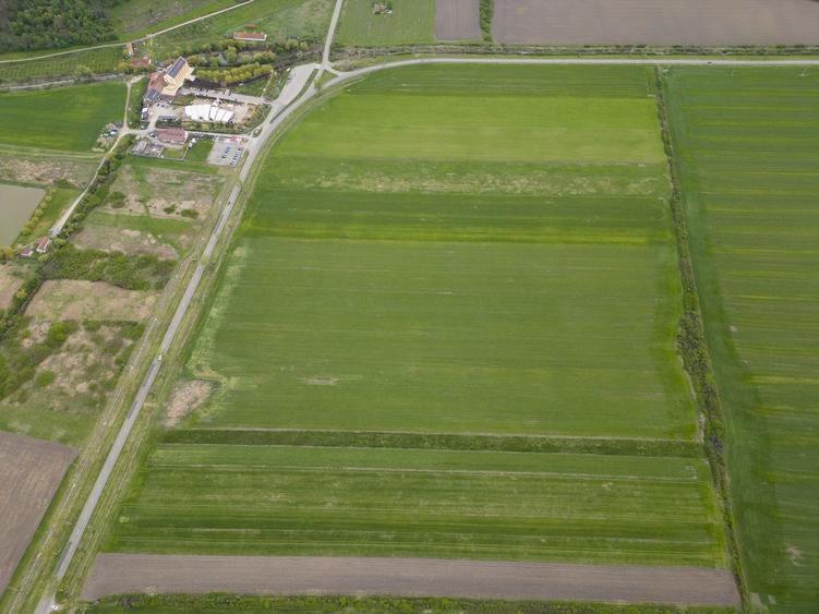 Teren agricol extravilan de 22500 mp, în Sud-Vest