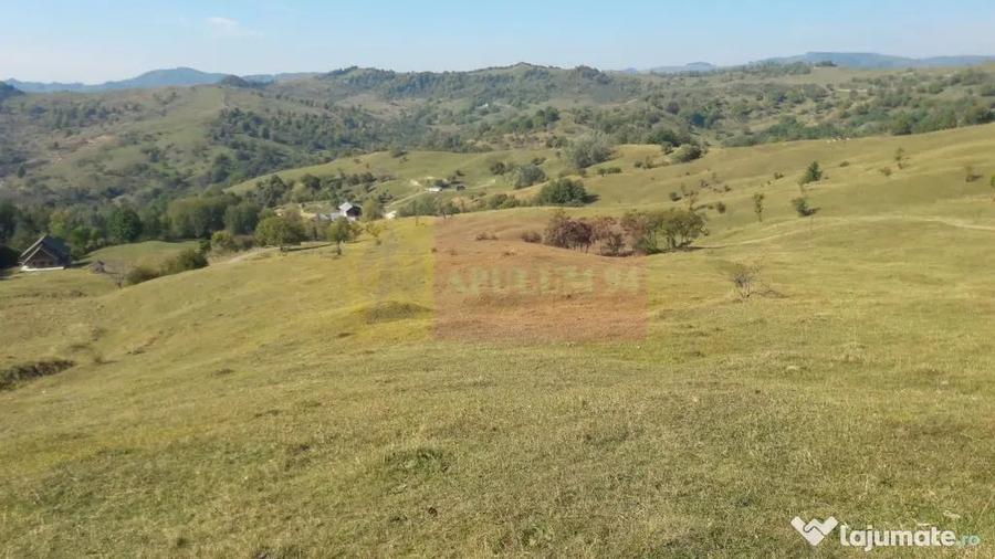 Teren de 9037 mp, în Plaiul Tălii