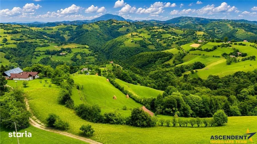 Spațiu comercial, în Poiana Mărului