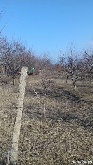Teren de 2300 mp, în Blidari (Cârligele)
