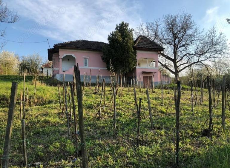 Casă cu 2 camere cu Teren 5000 Mp în Gura Motrului