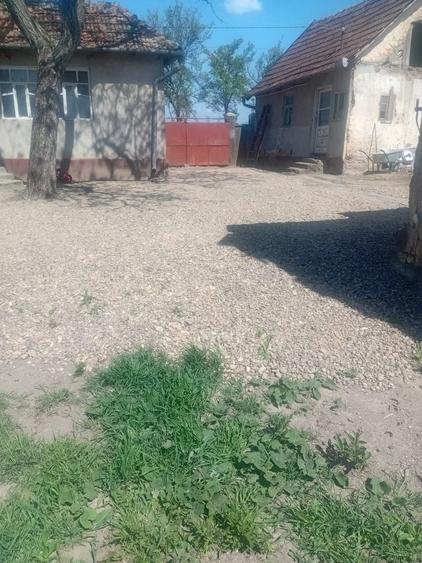 Casă cu 4 camere în Cermei