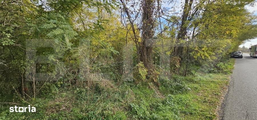 Teren de 1950 mp, în Răzvad