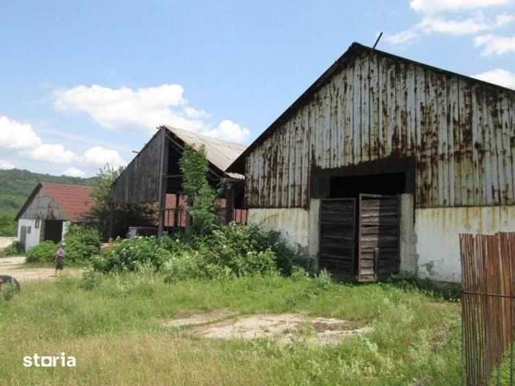 Teren de 12580 mp, în Dalboșeț
