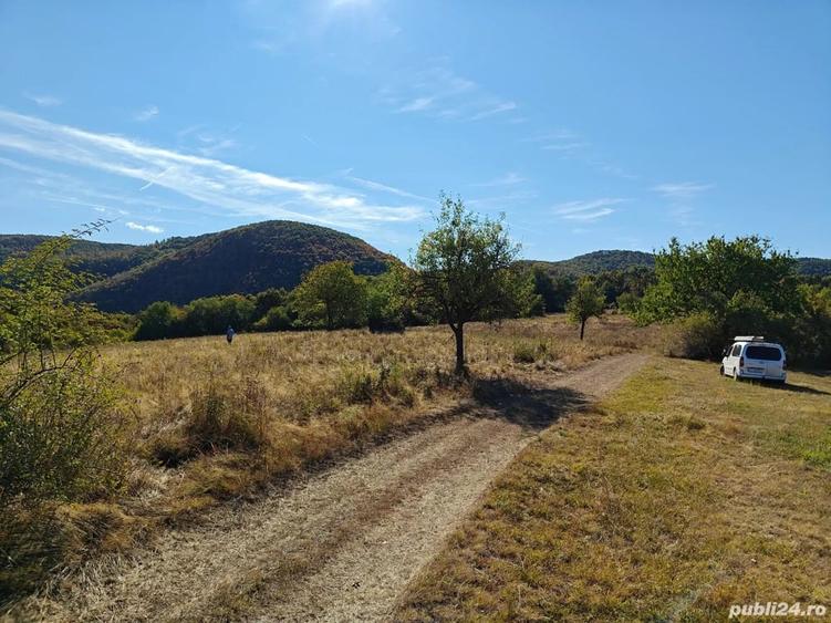 Teren de 35400 mp, în Balta