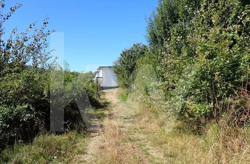 Teren Construcții intravilan de 1409 mp, în Cisnădioara