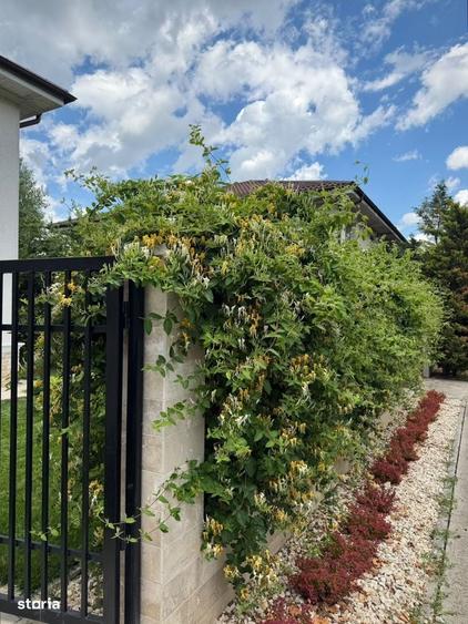 Casă cu 4 camere în Corbeanca
