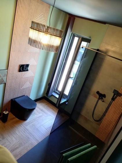 de vanzare casa parter viile satu mare - 5