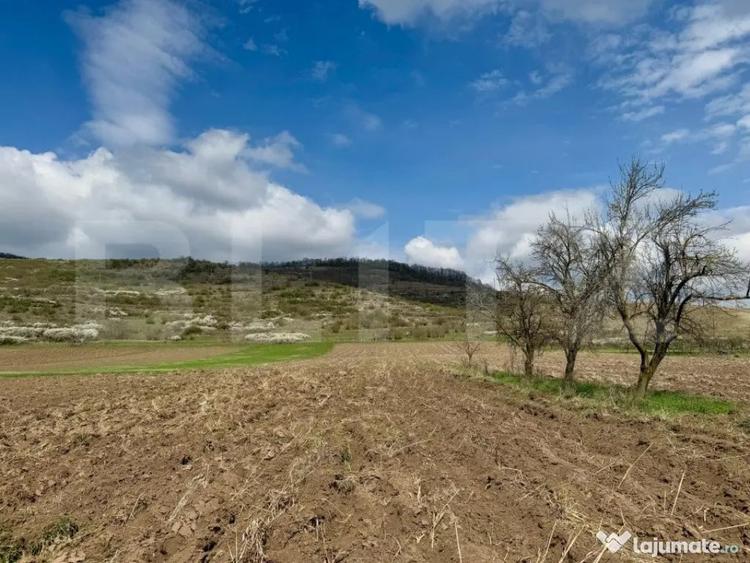 Teren de 1500 mp, în Central