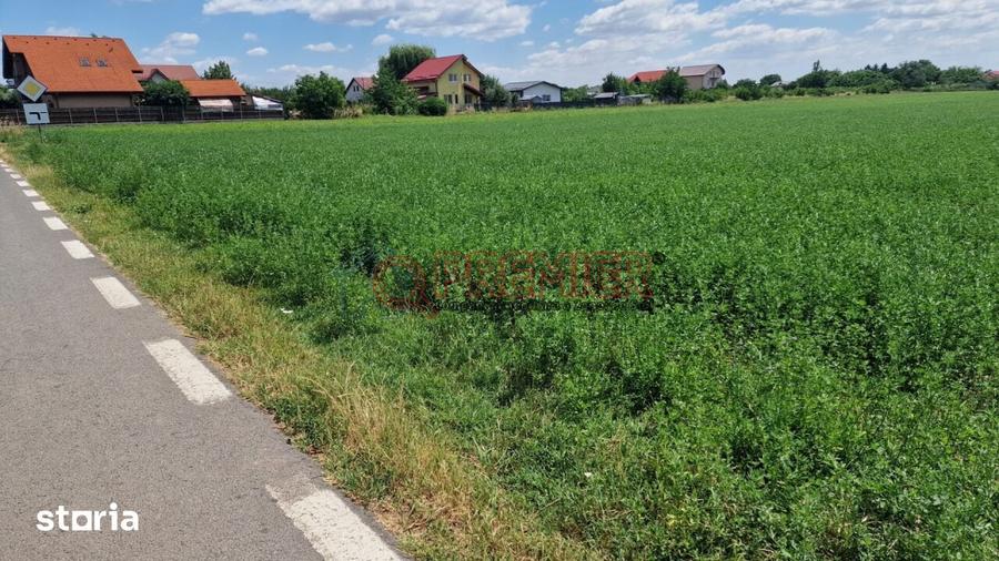 Teren de 9470 mp, în Bolintin-Deal