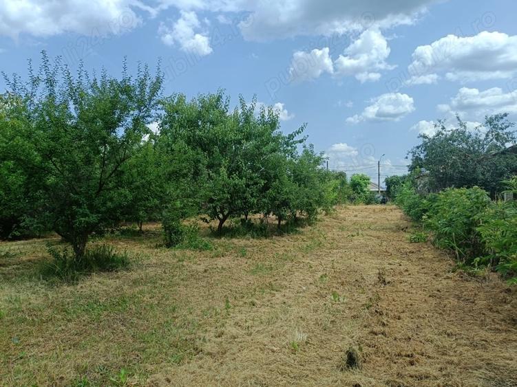 Teren de 3092 mp, în Bolintin-Deal