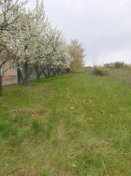 Teren de 7200 mp, în Miersig