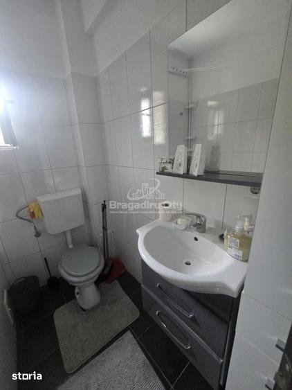 Apartament 2 cam parter Smardan/Rahovei Bragadiru - 8
