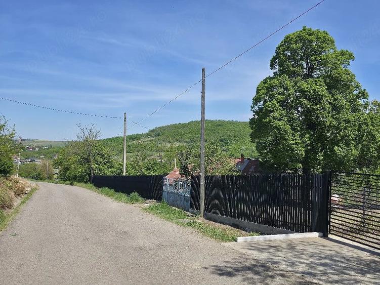 Casă cu Teren 1829 Mp în Erbiceni