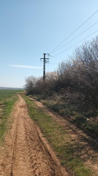 Teren Construcții intravilan de 7500 mp, în Liliești