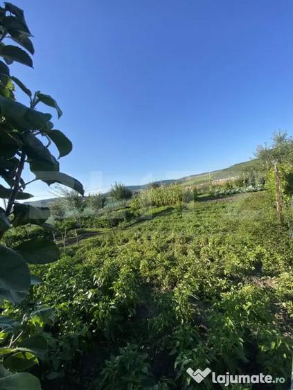 Teren în Orheiu Bistriței