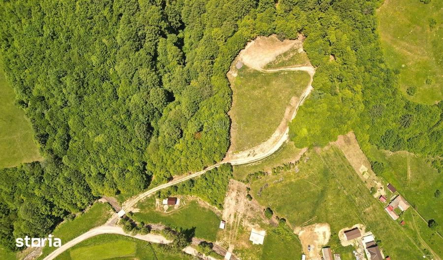 Teren de 16000 mp, în Holbav