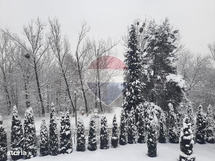 Spațiu comercial, de 280 mp, în Piatra