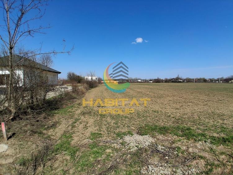 Teren Construcții intravilan de 3756 mp, în Est