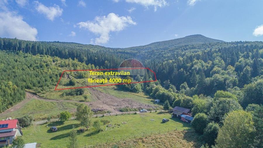 Teren Construcții extravilan de 4000 mp, în Babarunca