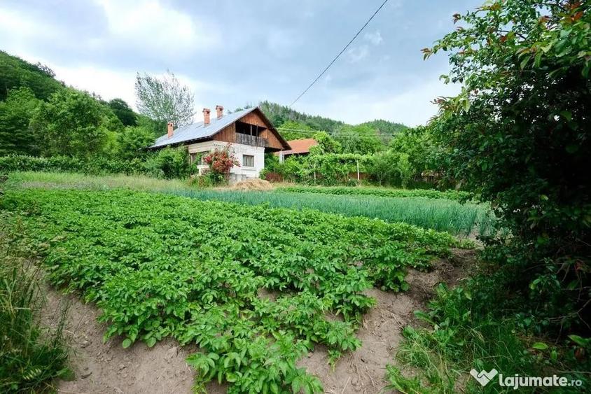 Casa cu teren generos - 4696 mp Apa Sarata - Campulung !! - 9