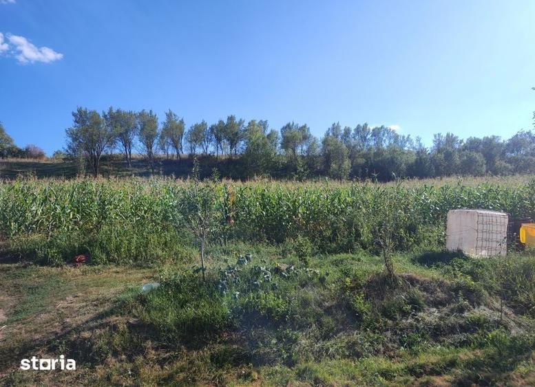 Teren de 2976 mp, în Țaga