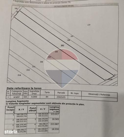 Teren Intravilan de vanzare 4000 mp Copaceni Strada Constantin Duma - 3