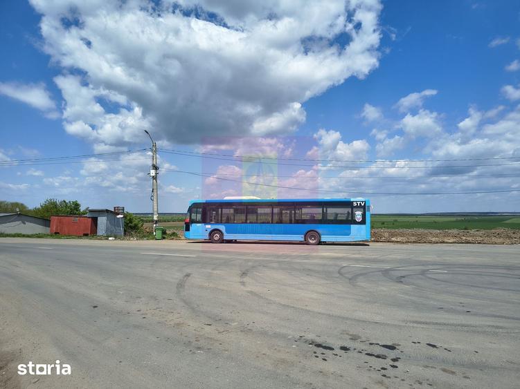 Teren de 975 mp, în Cernica