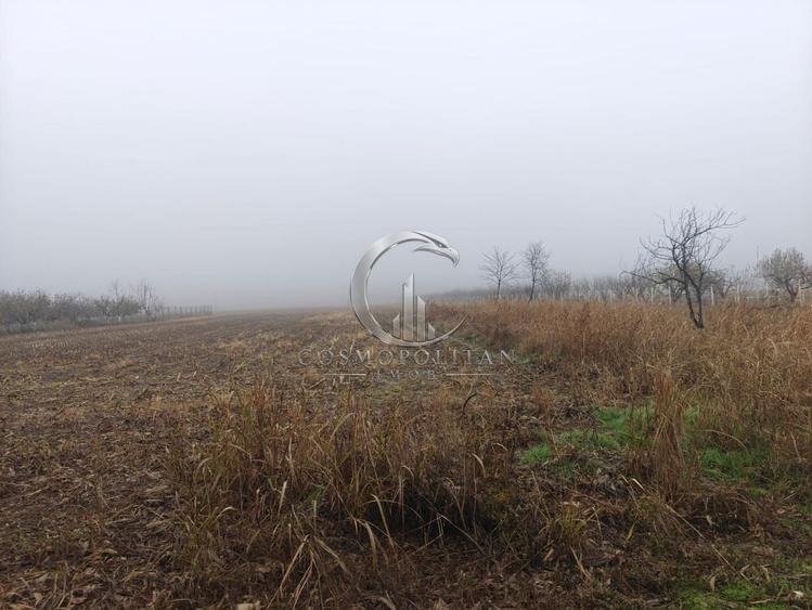 Teren Construcții intravilan de 12511 mp, în Potoceni